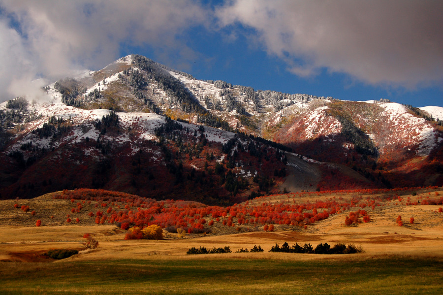 Land Cache Valley Utah at Joshua Chappell blog